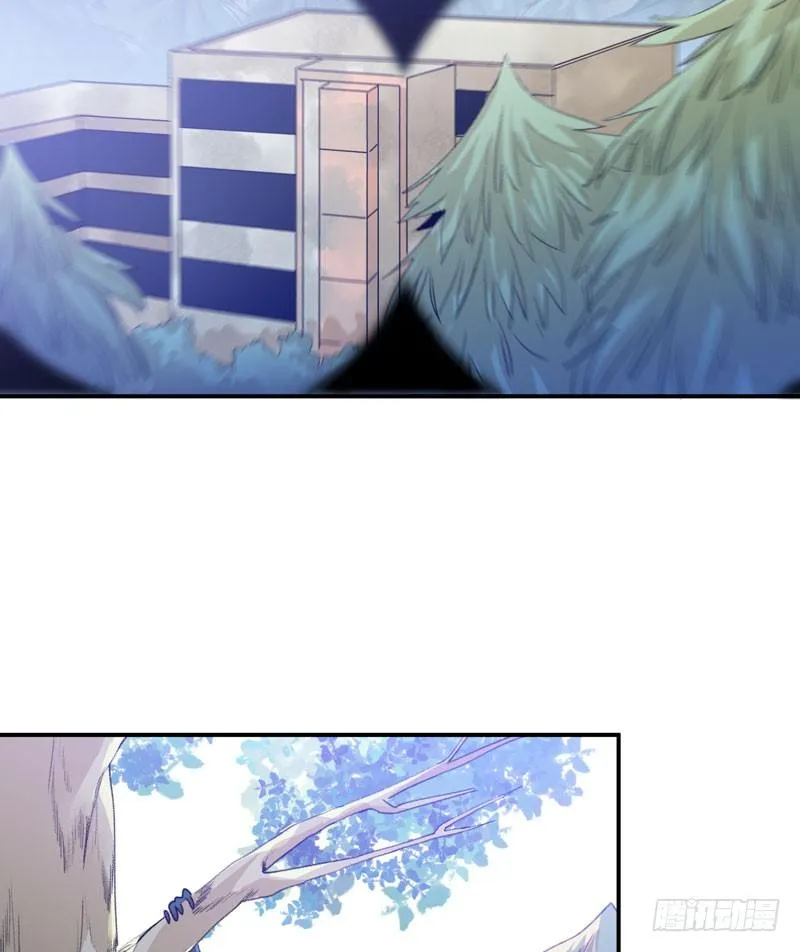 迷幻森林，神奇的暗号 第12页