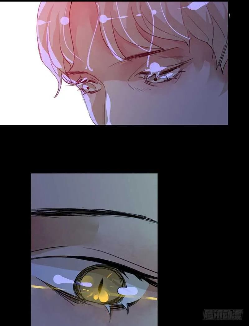 苏乔的秘密 第19页