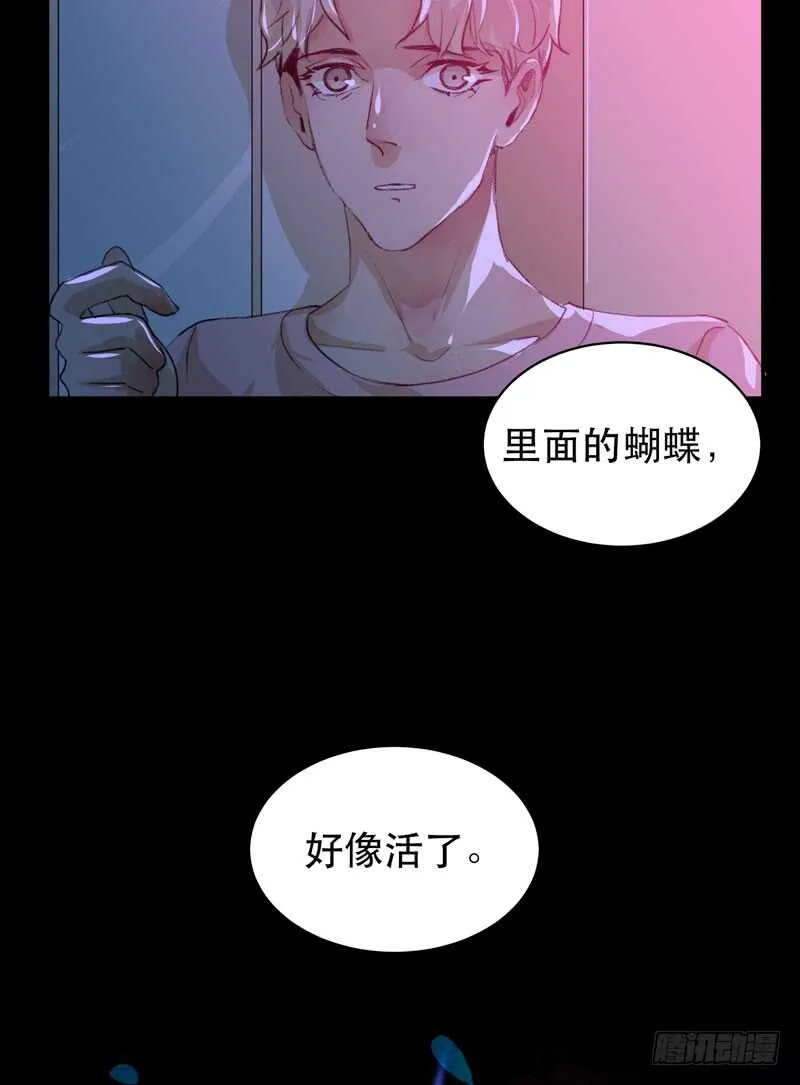 只飞舞在黑暗里的蝴蝶 第58页