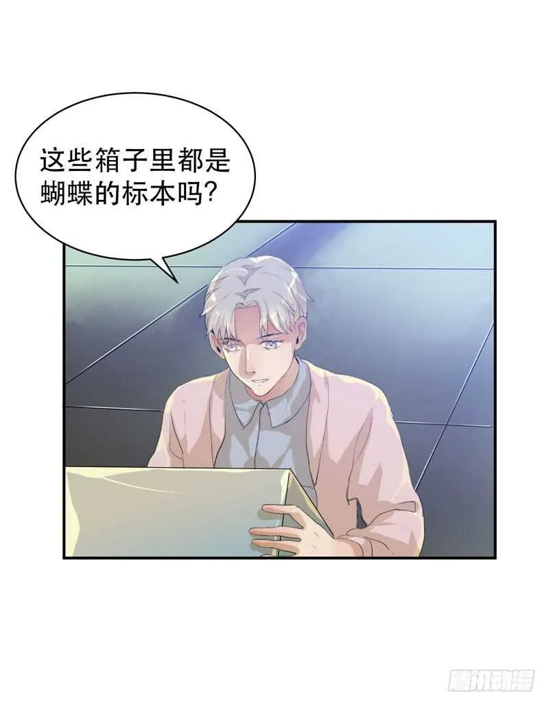 盒子里的蝴蝶 第36页