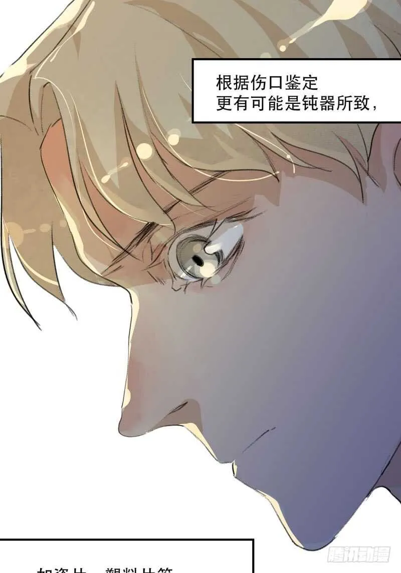 谁才是藏在阴影里的人 第31页