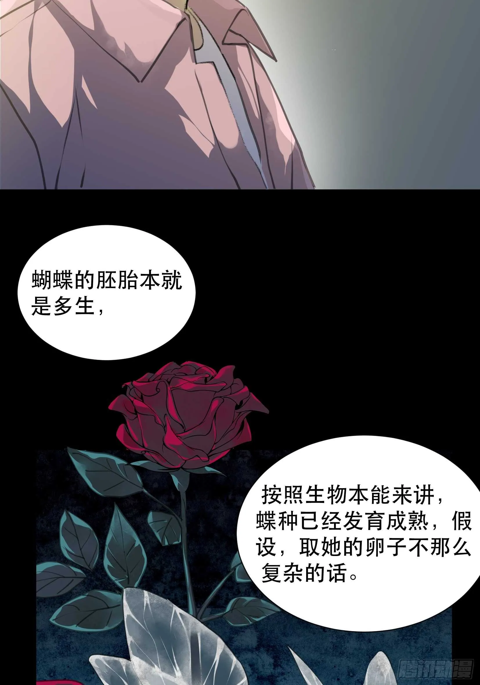 盗取恶魔果实的人 第13页