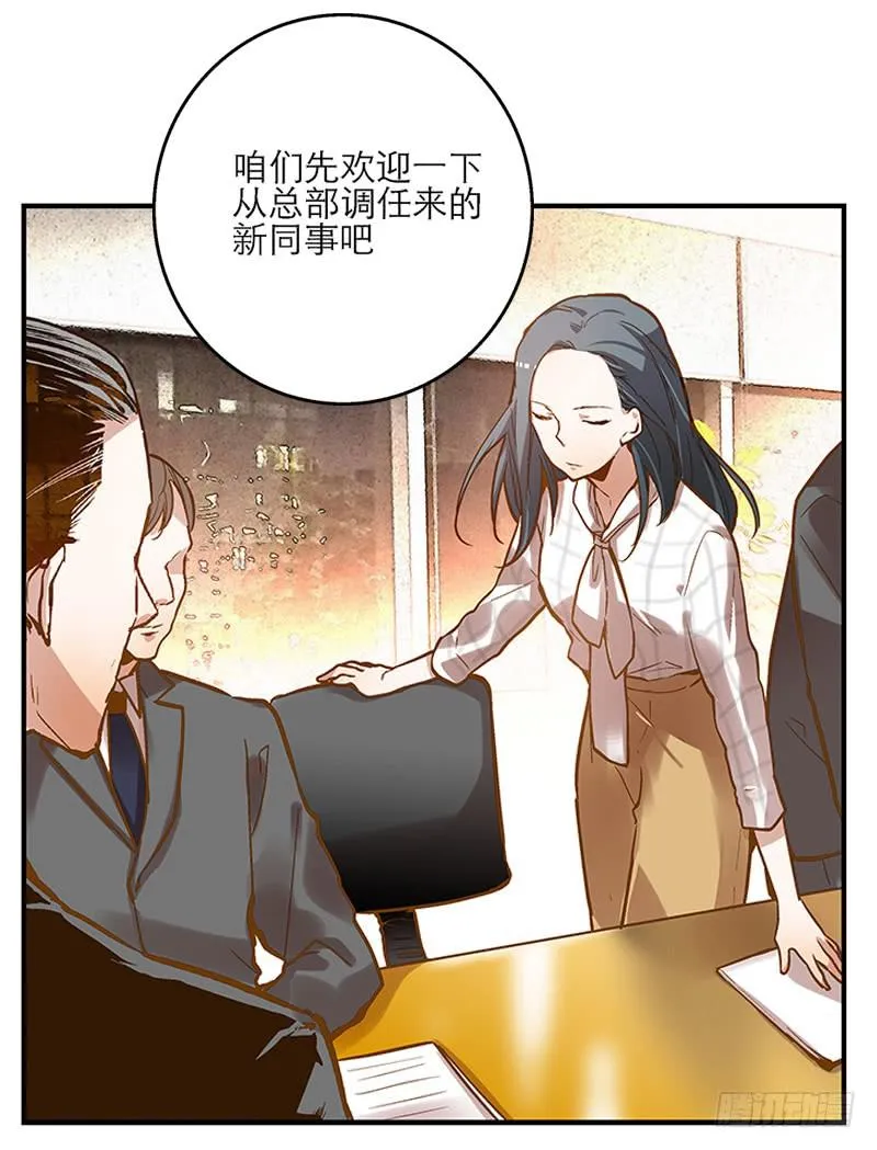 第一回 新上任的陆经理 第13页