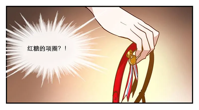 第二回 红糖你在哪儿？ 第10页