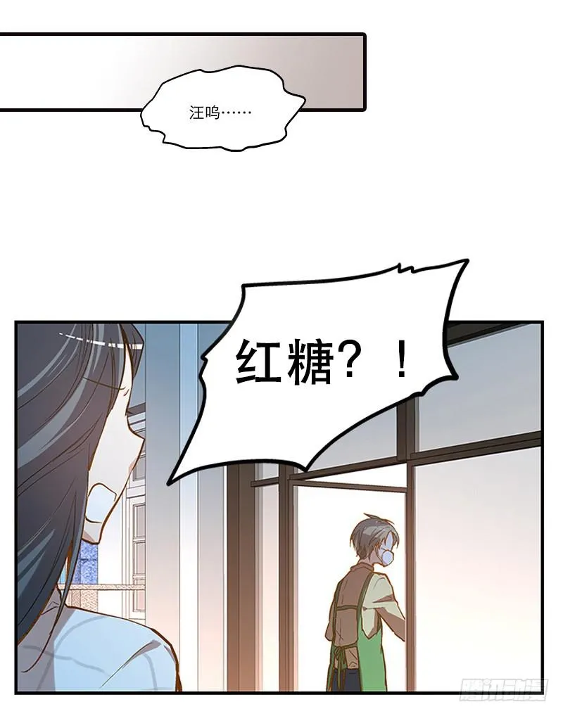 第二回 红糖你在哪儿？ 第13页