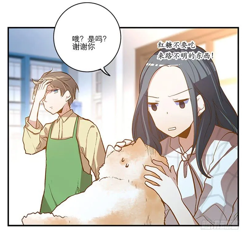 第二回 红糖你在哪儿？ 第20页