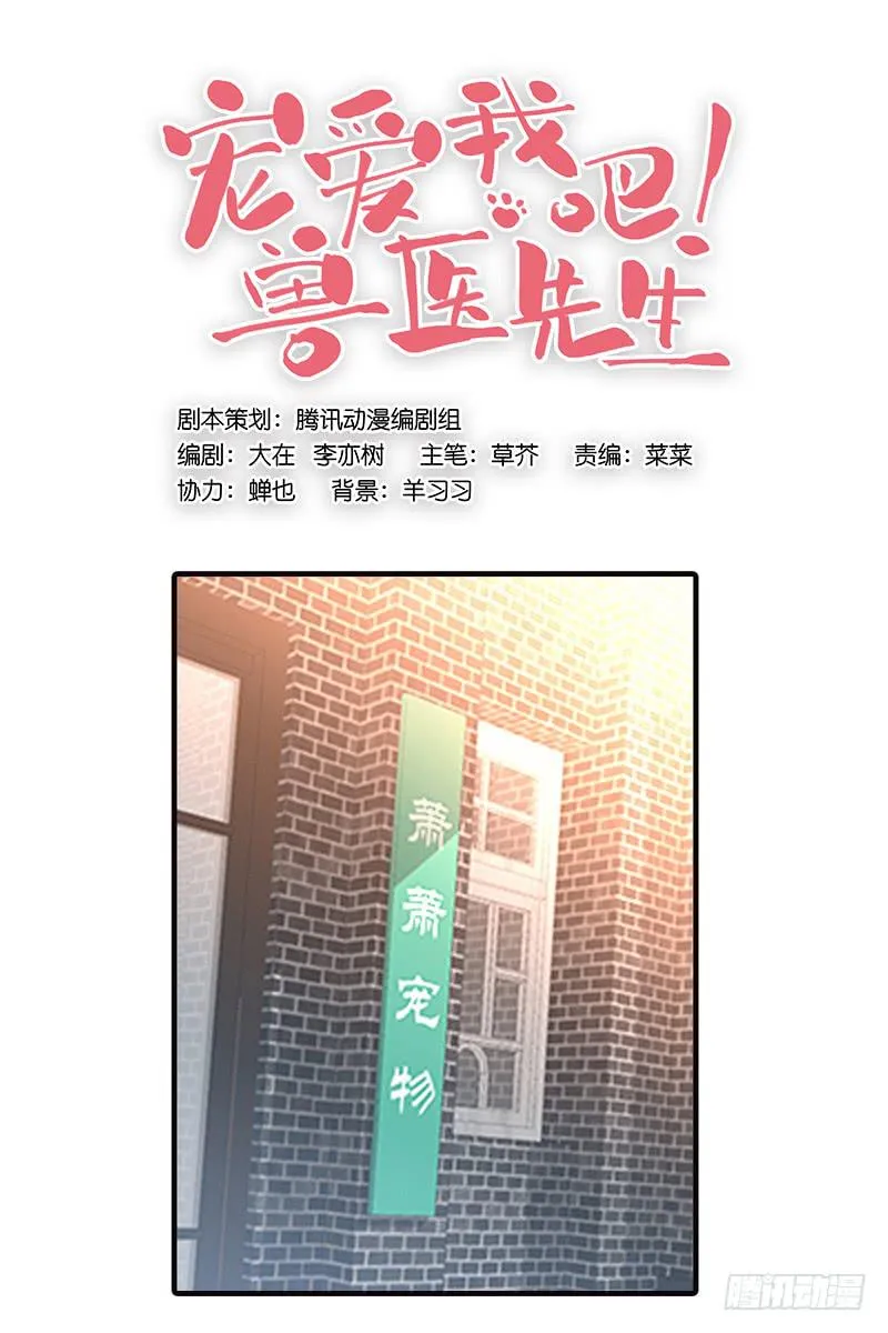 第四回 我的兽医先生 第1页