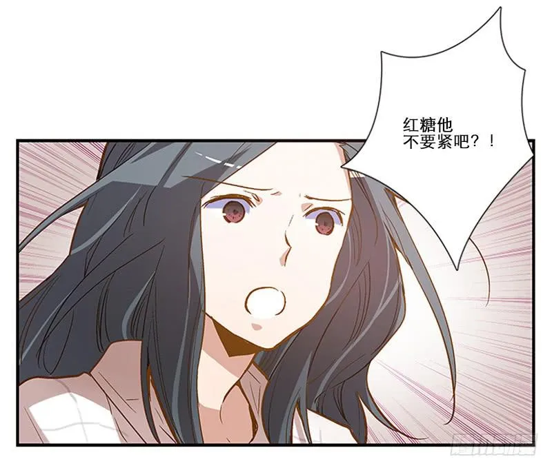 第四回 我的兽医先生 第2页