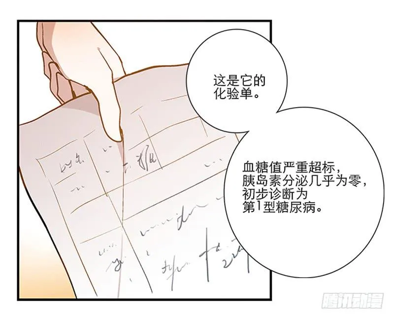 第四回 我的兽医先生 第4页