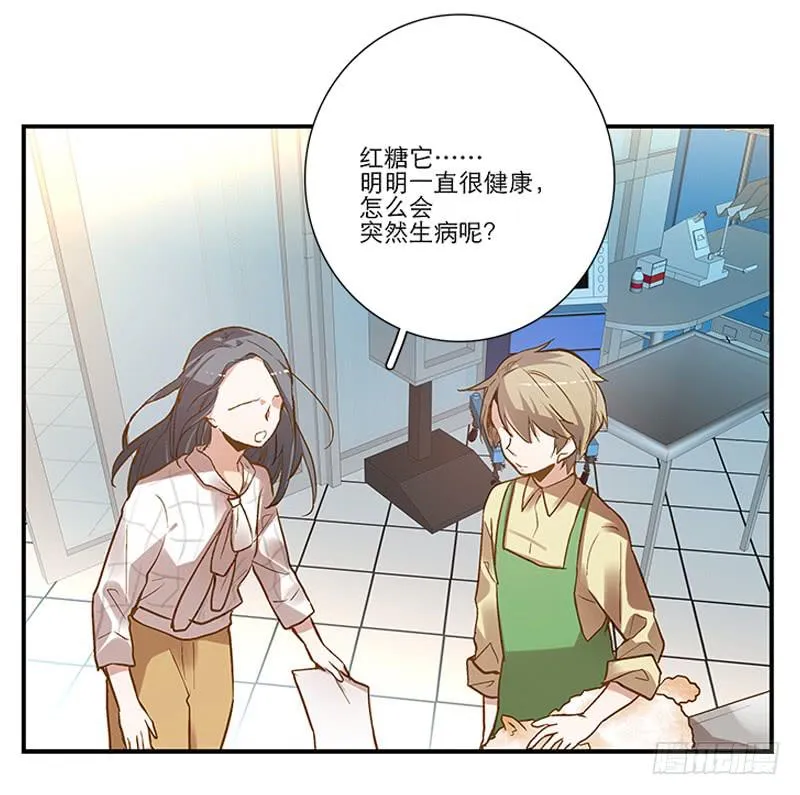 第四回 我的兽医先生 第6页