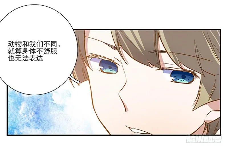 第四回 我的兽医先生 第7页