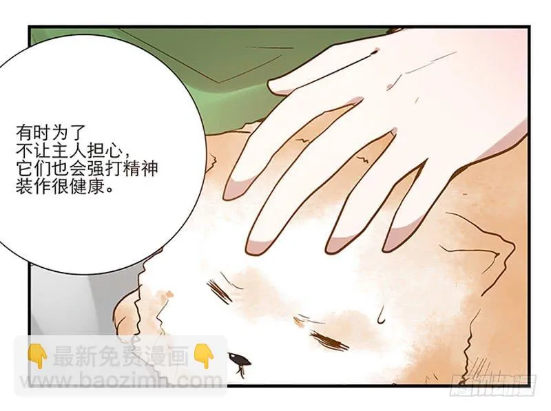 第四回 我的兽医先生 第8页