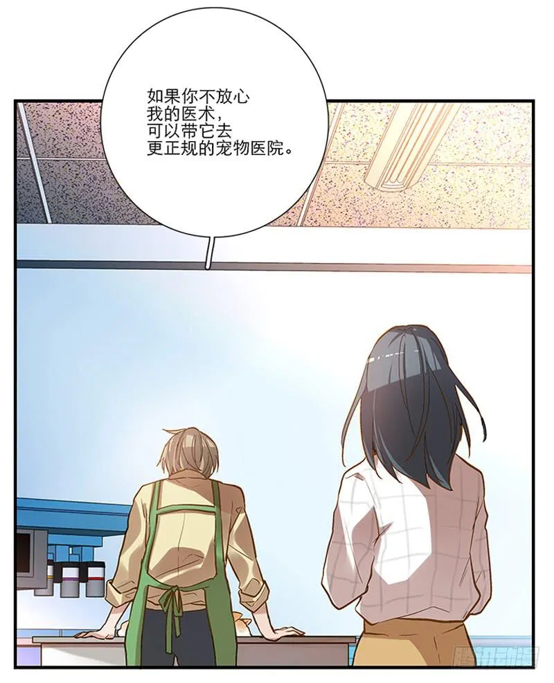 第四回 我的兽医先生 第11页