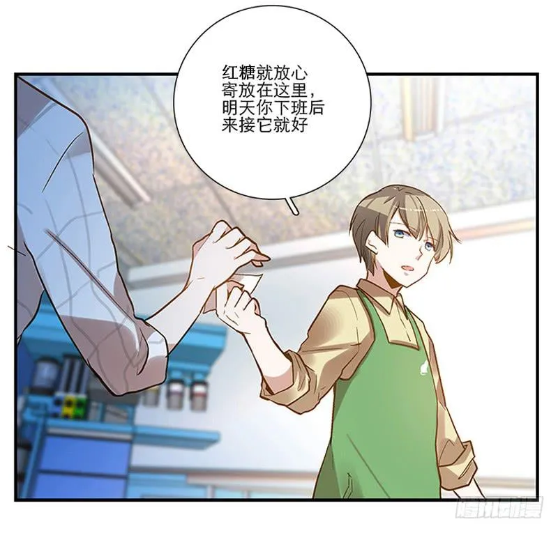 第四回 我的兽医先生 第18页