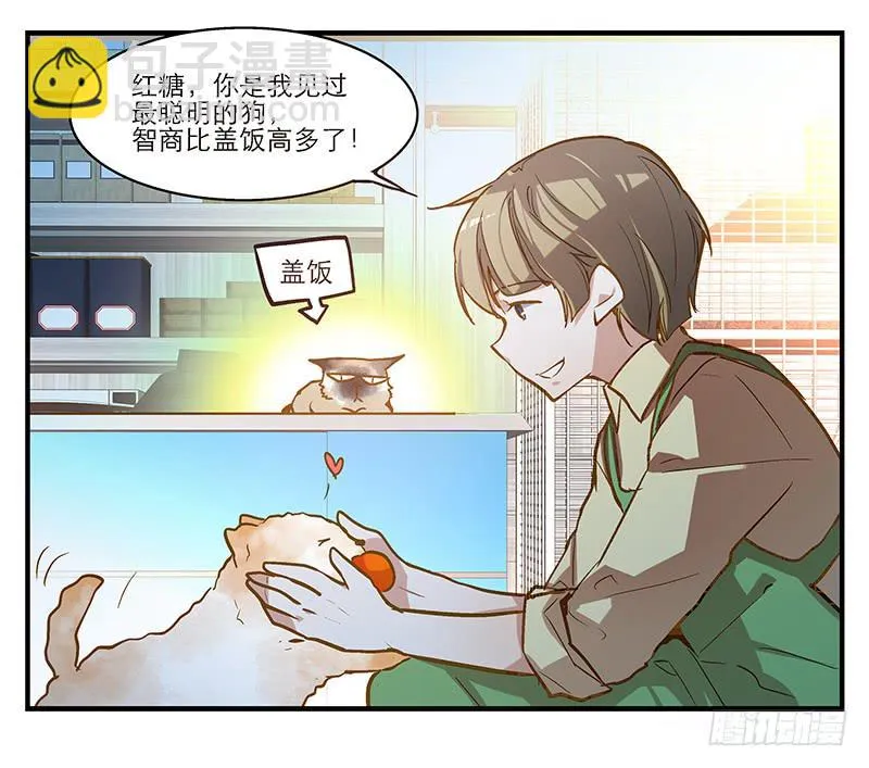 第五回 红糖的遛狗员（上 第36页