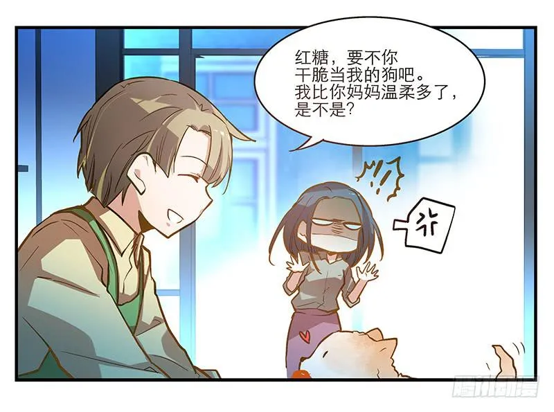 第五回 红糖的遛狗员（上 第38页