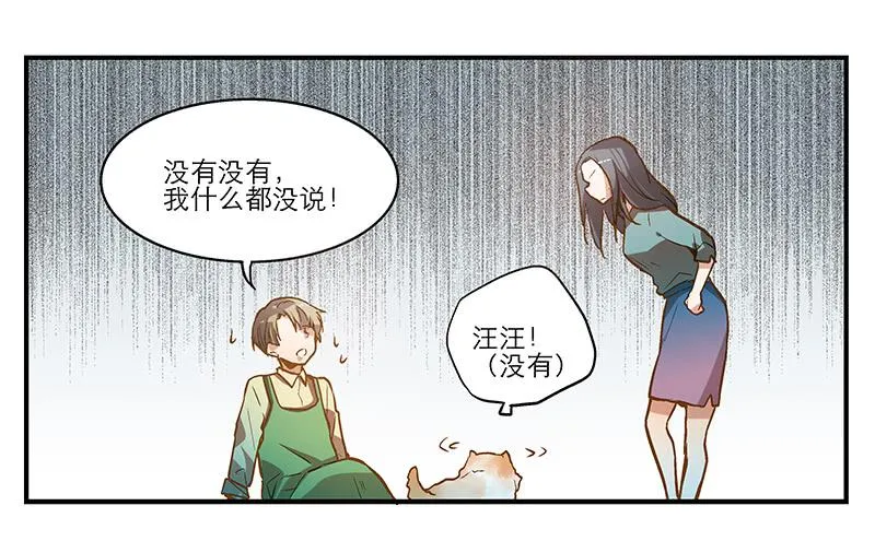 第五回 红糖的遛狗员（上 第41页