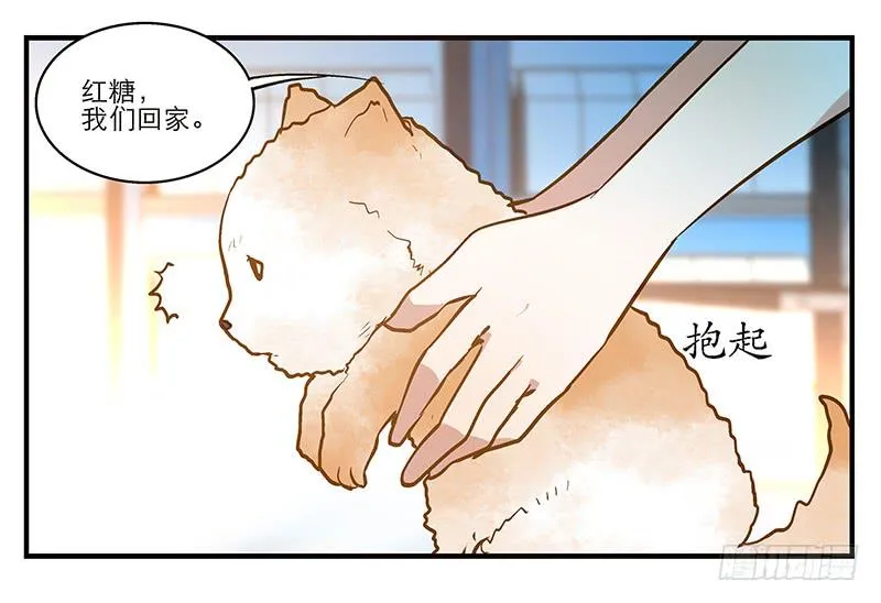 第五回 红糖的遛狗员（上 第42页