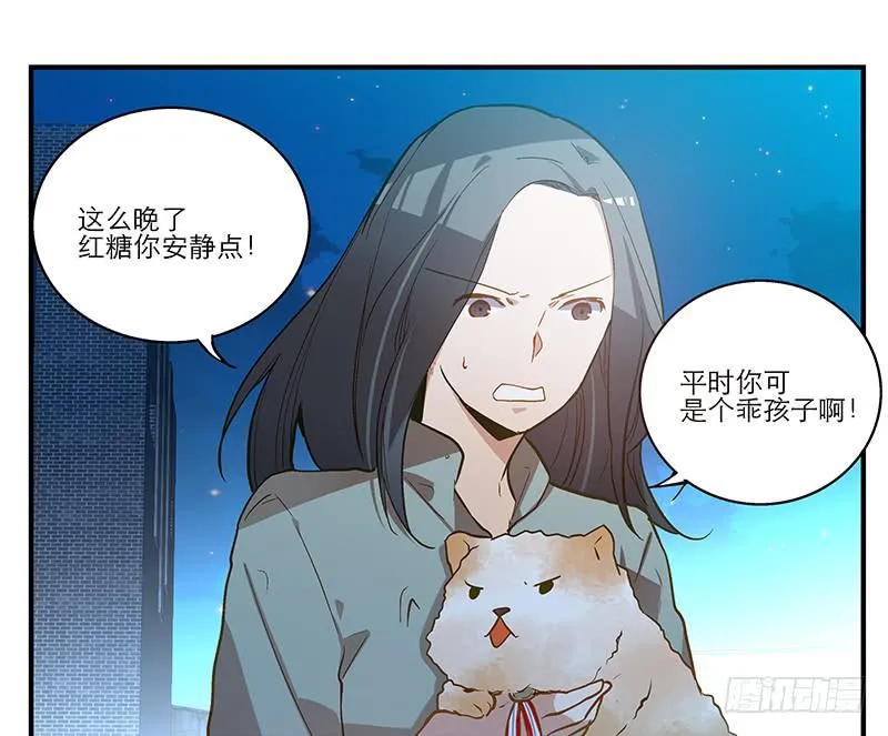 第六回 红糖的遛狗员（下 第2页