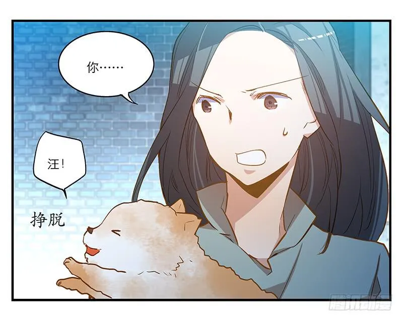 第六回 红糖的遛狗员（下 第6页