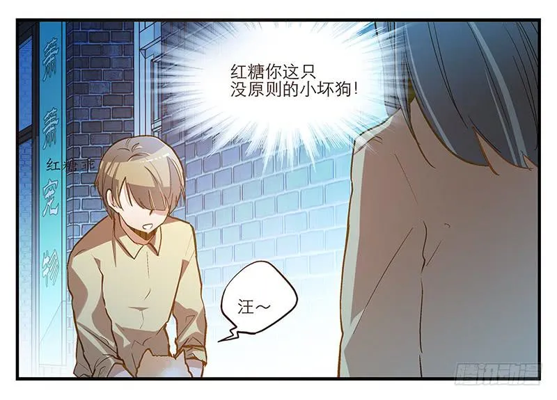 第六回 红糖的遛狗员（下 第7页
