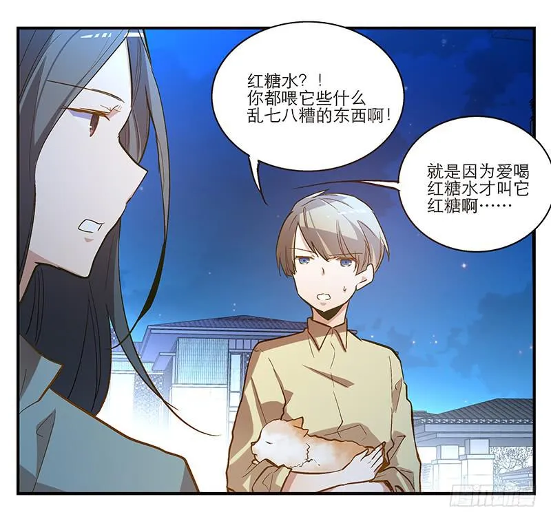 第六回 红糖的遛狗员（下 第14页
