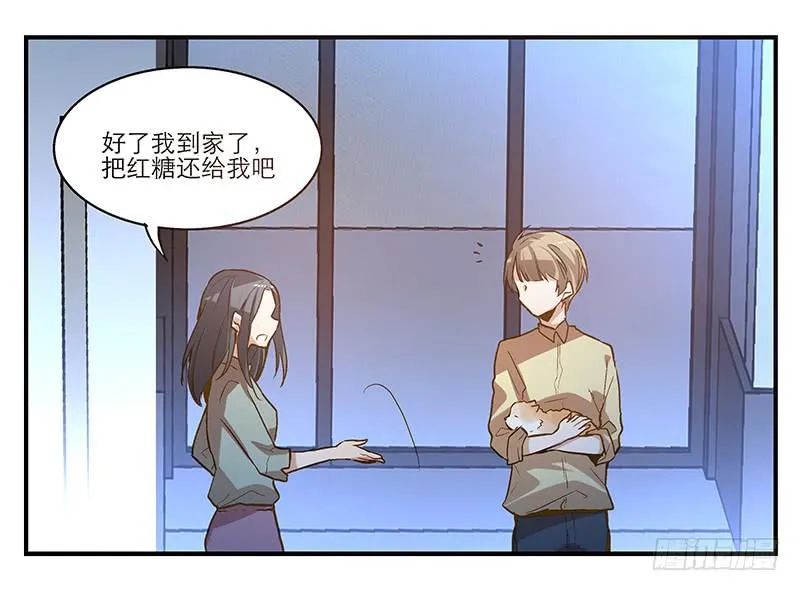 第六回 红糖的遛狗员（下 第15页