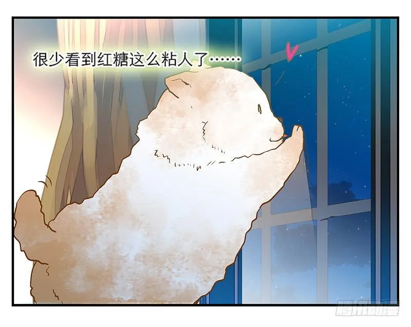 第六回 红糖的遛狗员（下 第28页