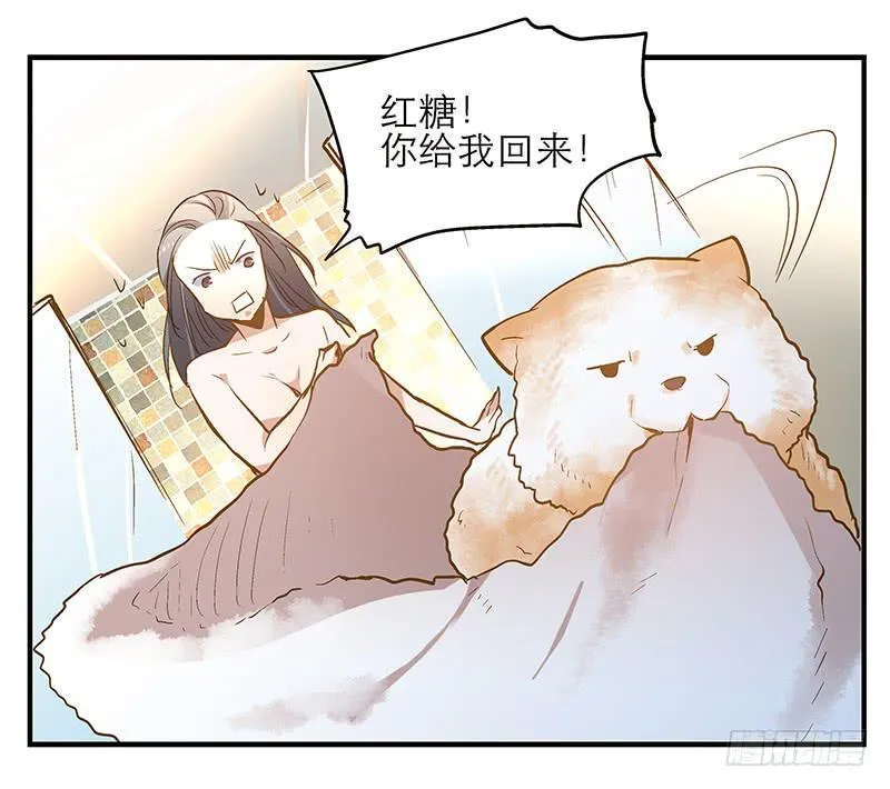 第七回 尴尬的插曲 第25页