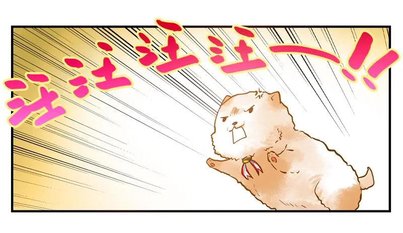 第十回 不许干涉我的生活！ 第12页