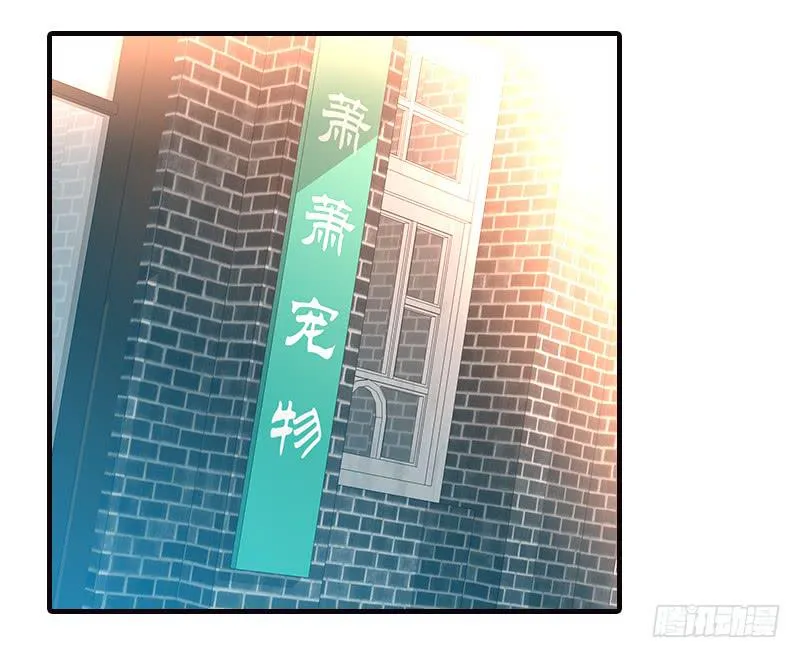 第十二话 红糖想你了 第1页