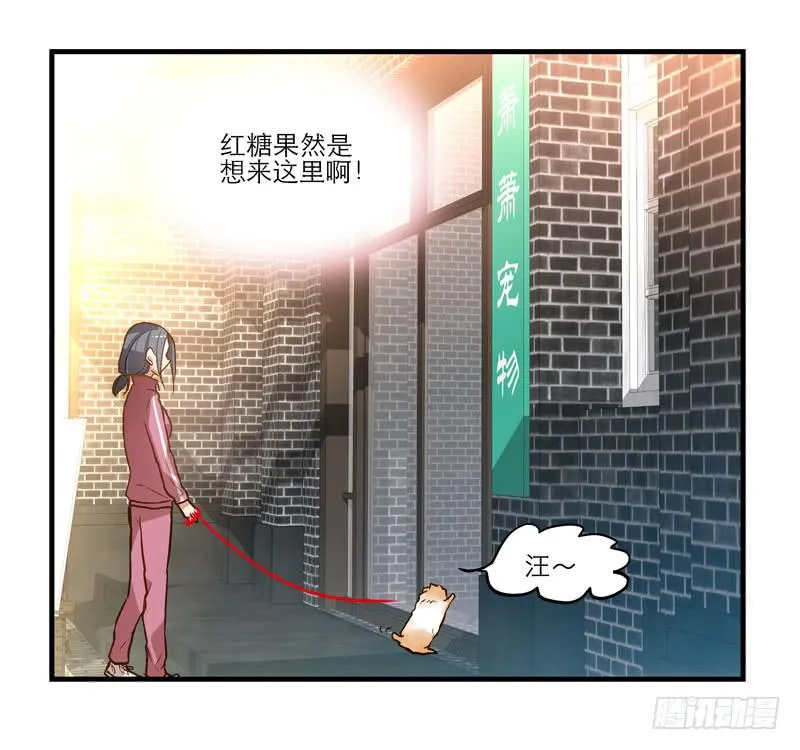 第十二话 红糖想你了 第2页