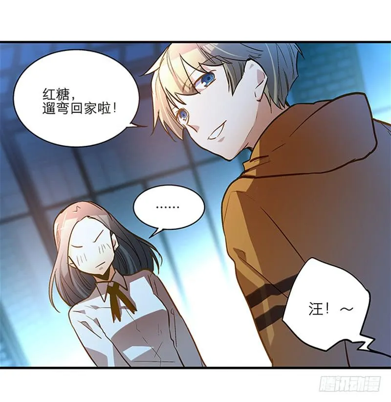 第二十话 该撒狗粮了 第17页