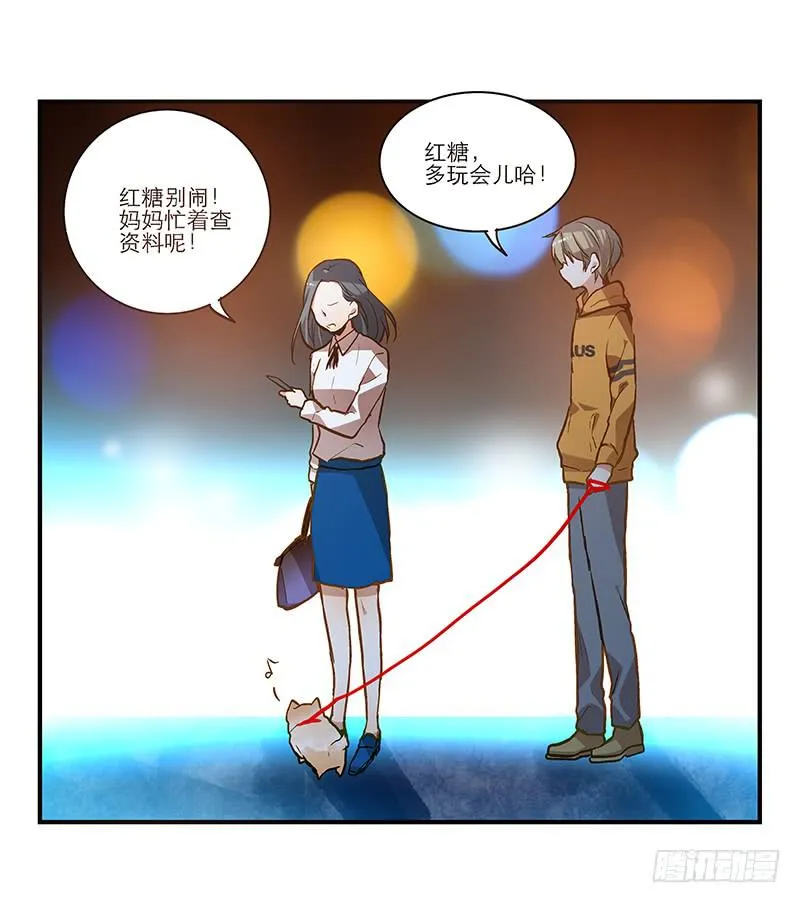 第二十话 该撒狗粮了 第20页