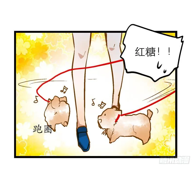 第二十话 该撒狗粮了 第22页