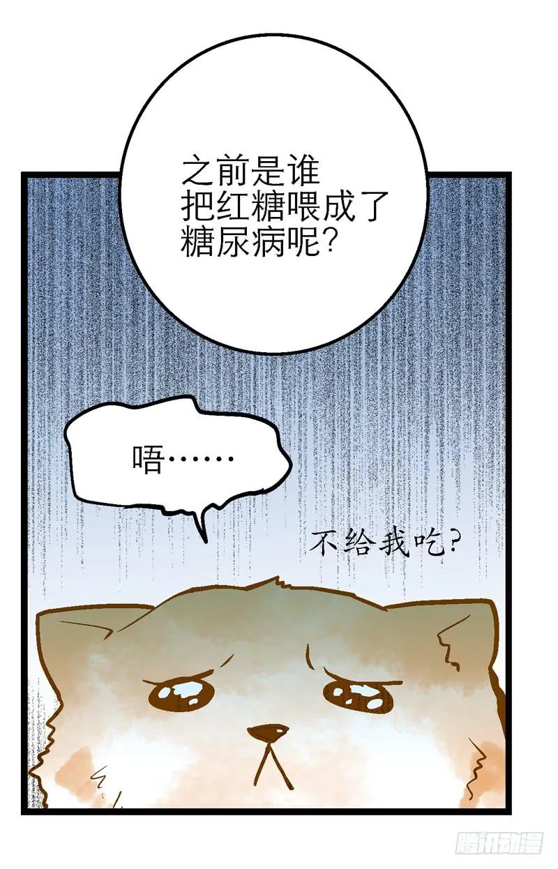 第二十四话 爱吃烧烤的假兽医 第22页