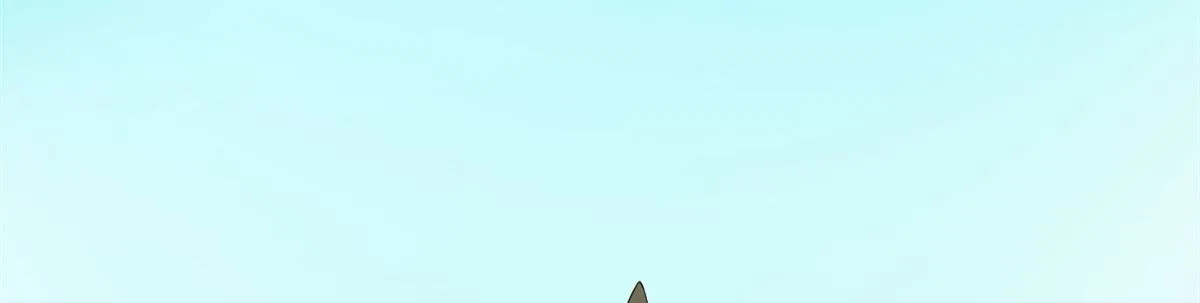 377 第71页