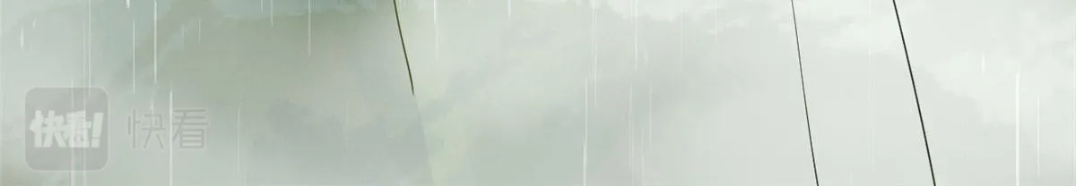377 第146页