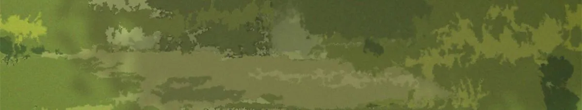 380 第29页