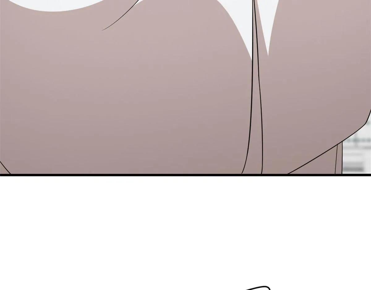 384 第82页