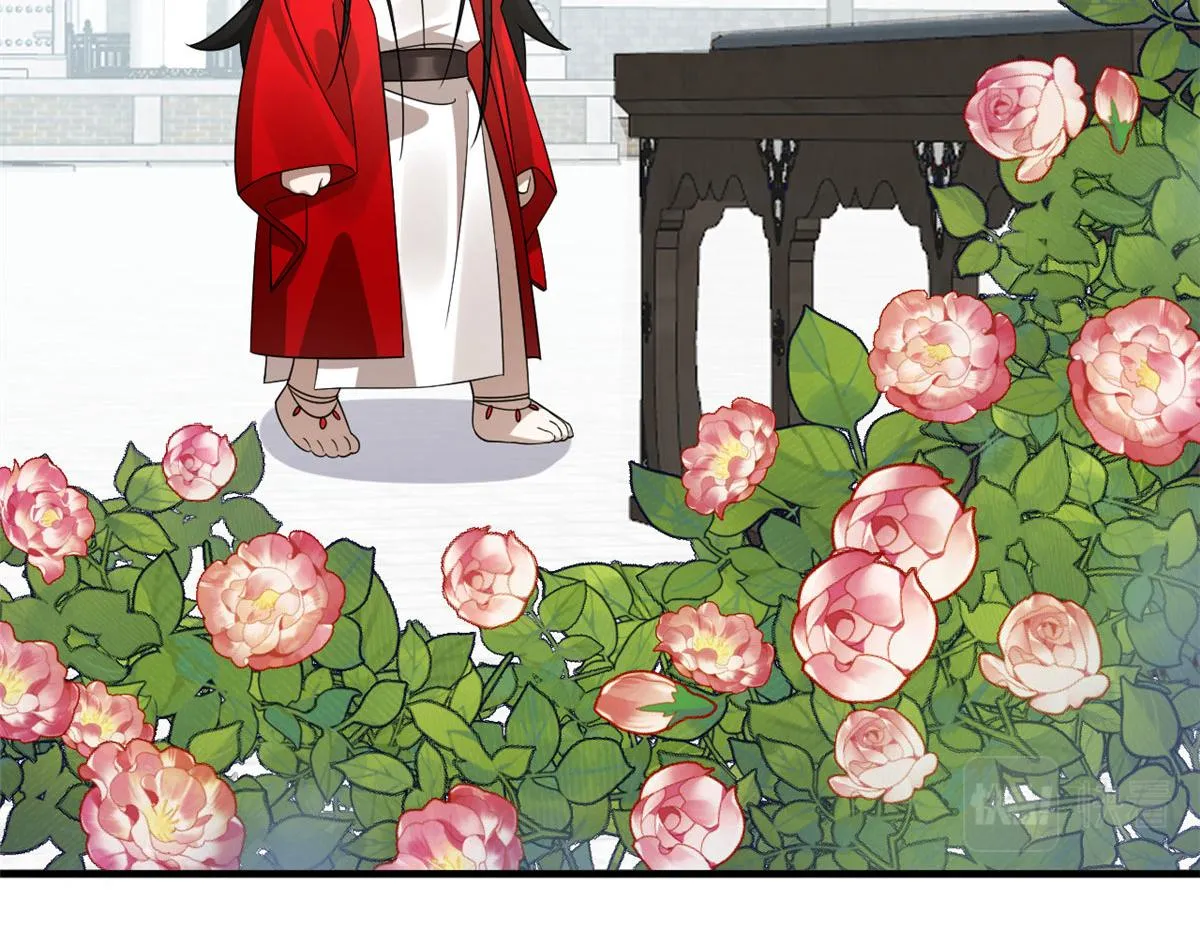 385 第13页