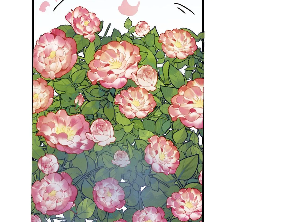 385 第31页