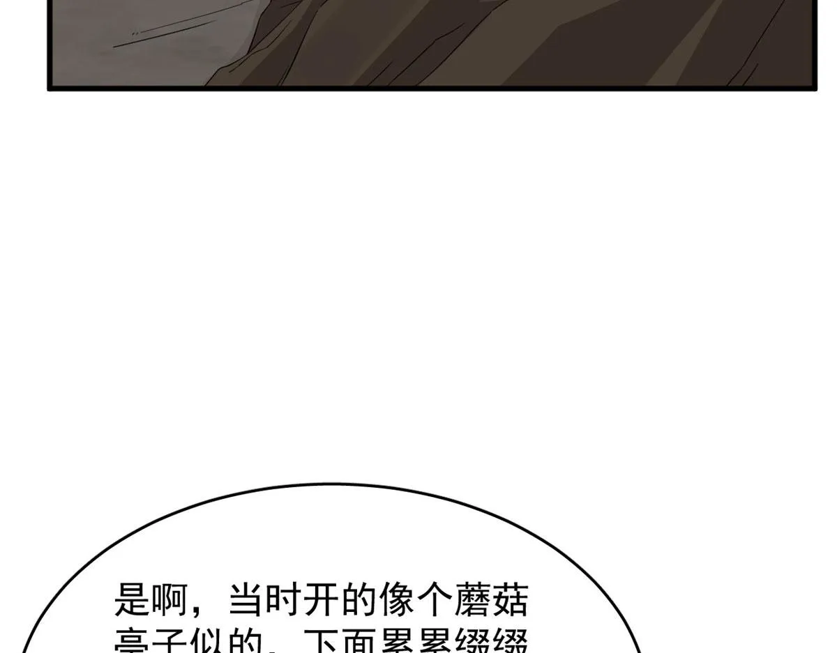 390 第33页