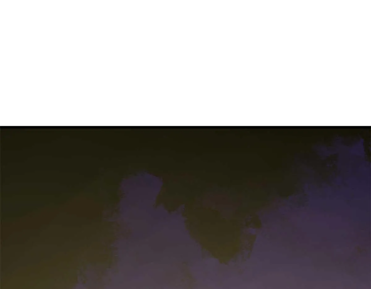415 第113页