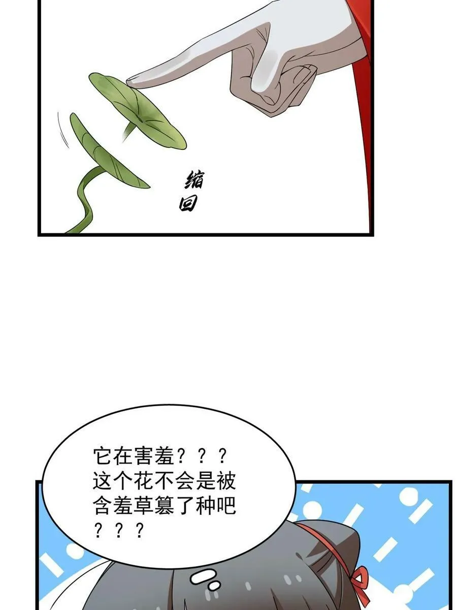 421 第51页