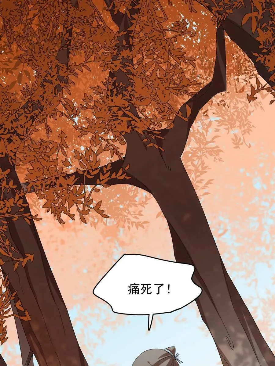 428 第5页