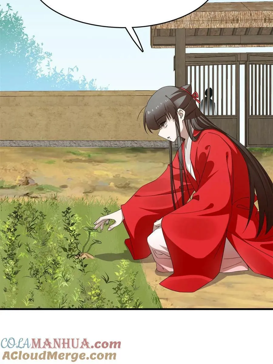 437 第29页