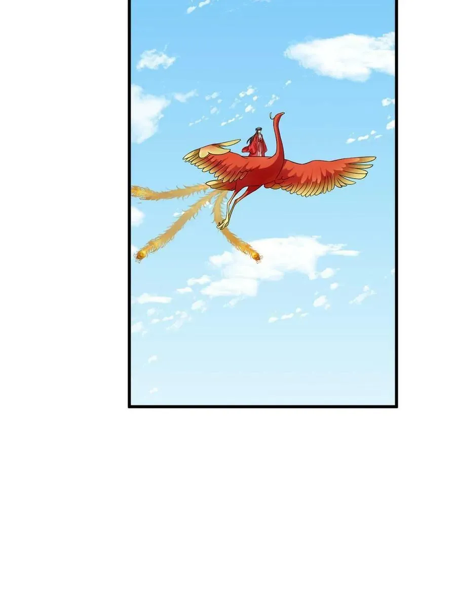 439 第11页