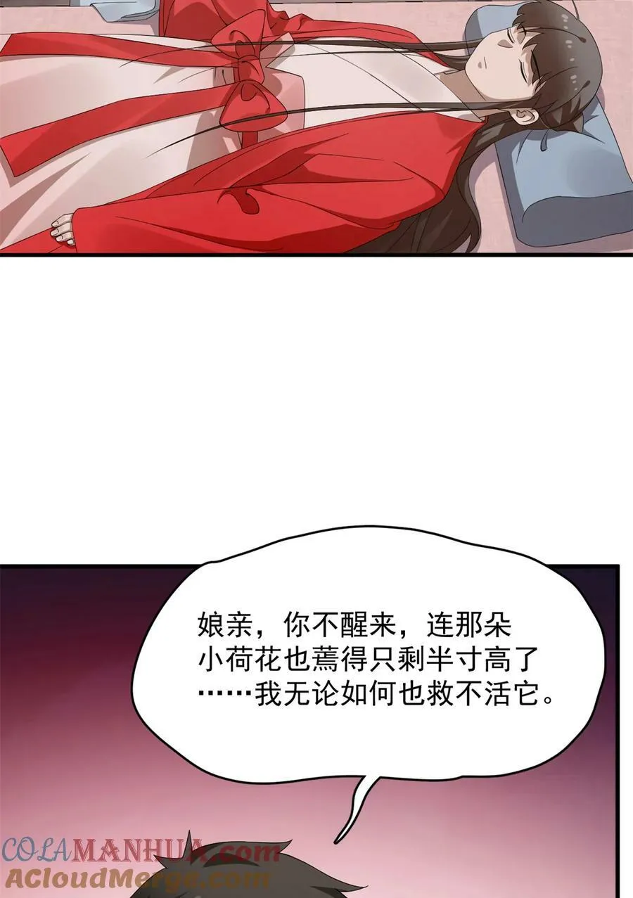 455 455 第13页
