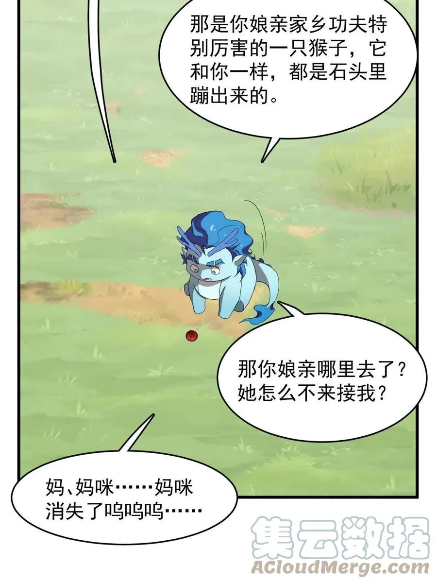 325 第43页